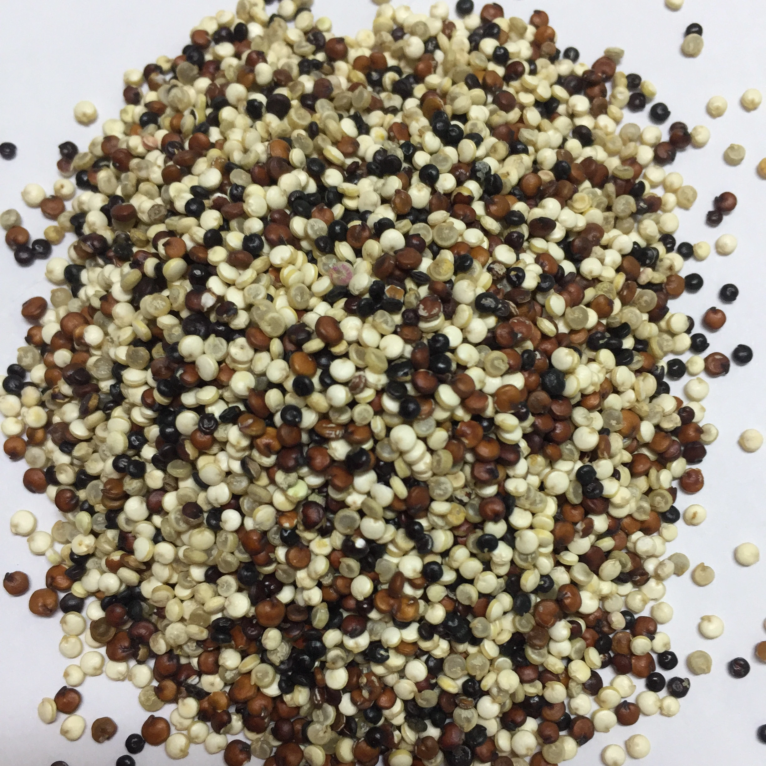 Высококачественный протеин quinoa для