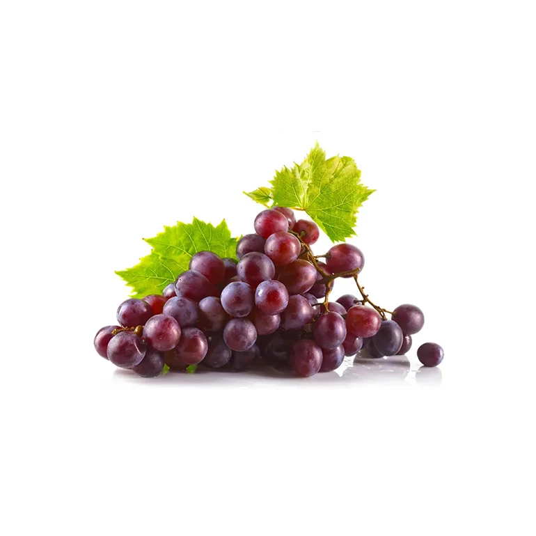 Private Label Quality Price Plants Export Agriculture Fresh Grapes