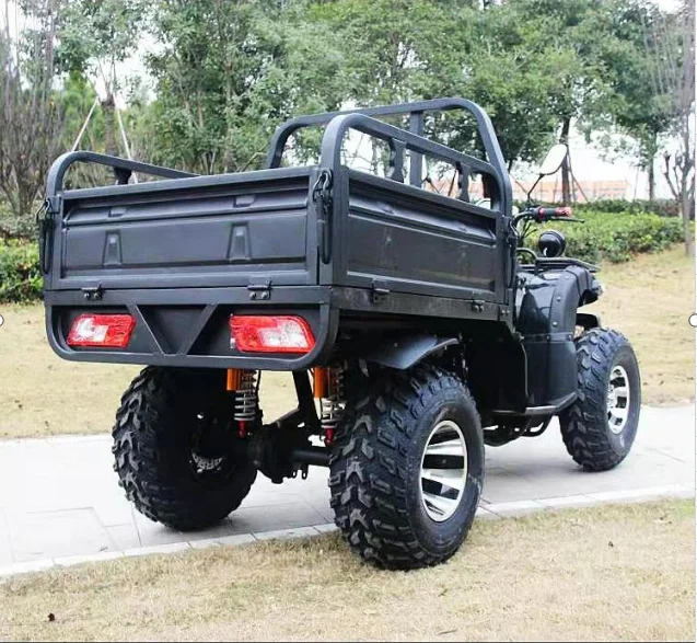 NEWest 15KW Quad UTV Electric Vehicle UTV Adult 4x4