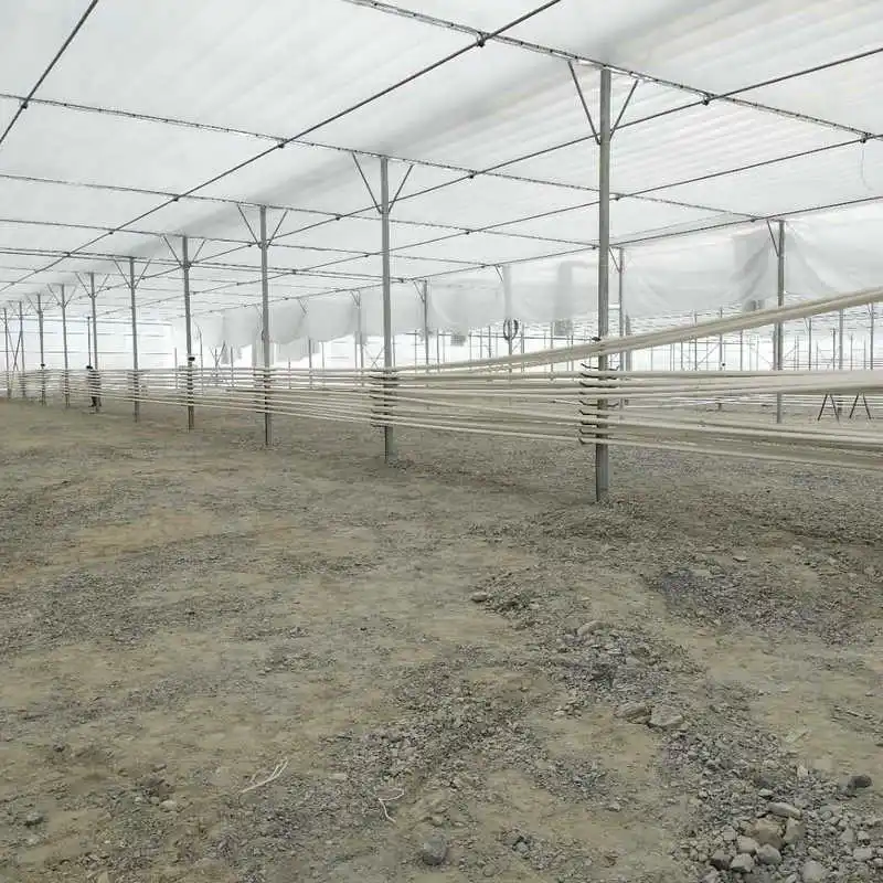 2024 pc sheet greenhouse for agriculture growing mushroom made in China