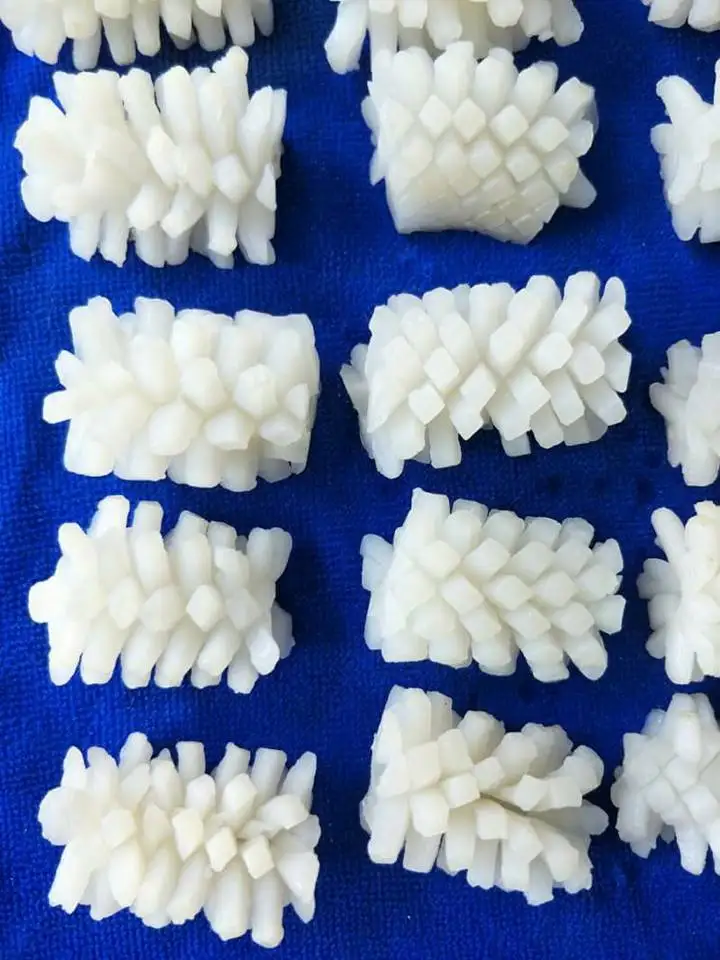 Frozen giant squid Equator squid flower cut