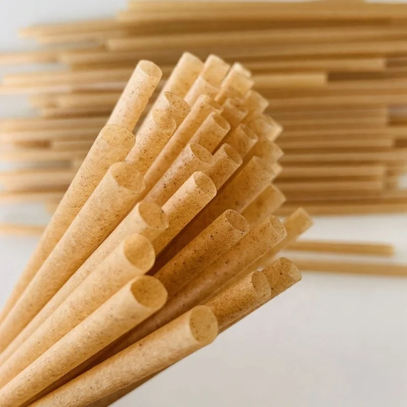 Factory wholesale disposable sugarcane fiber straw degradation drinking straw