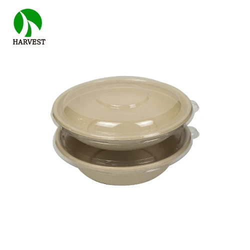 Disposable Bagasse Biodegradable Takeaway Compostable Container Paper Food Packaging
