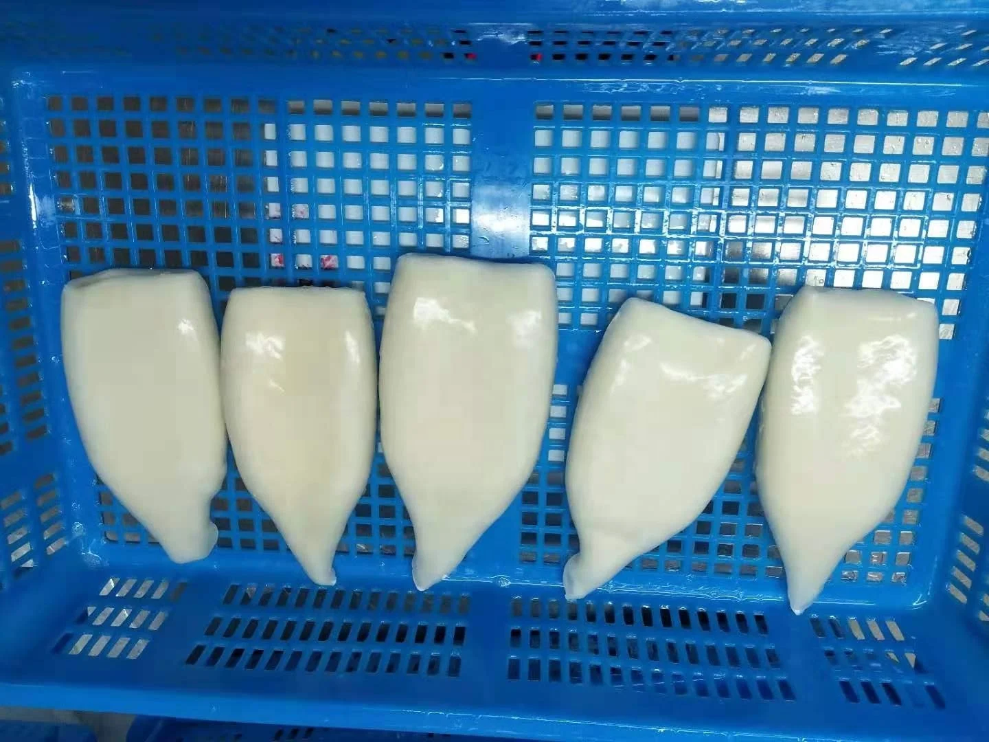 Factory Price Supplier Cleaned Illex  U10 Frozen Squid Tube