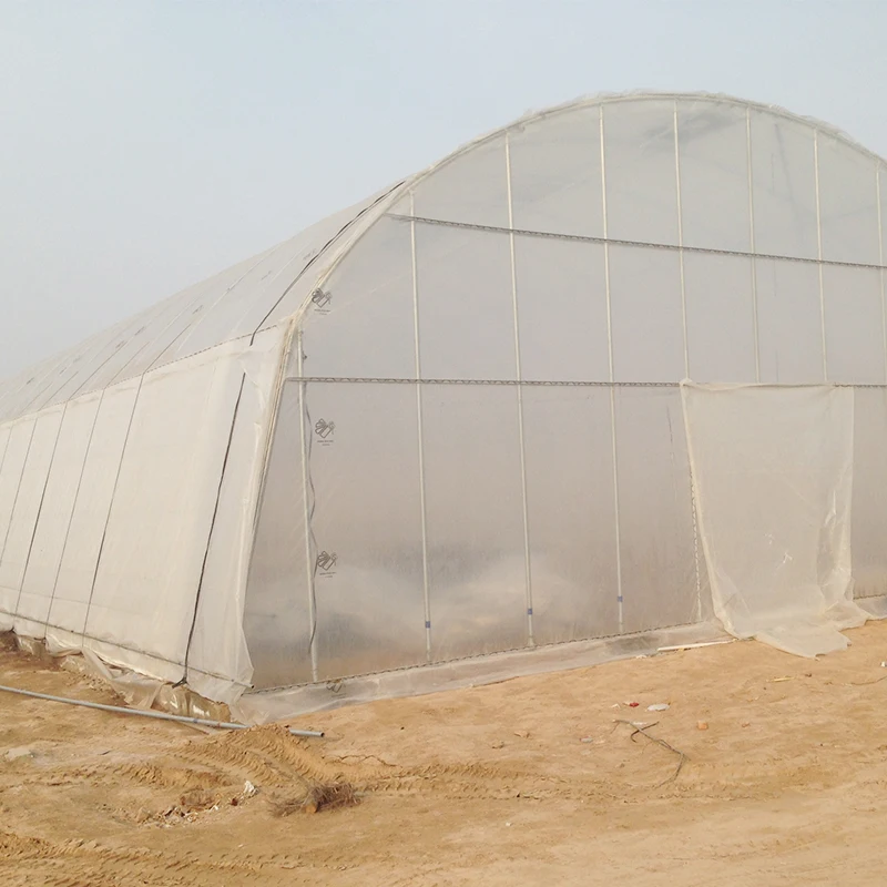 Poultry Farm Design Greenhouse single-span greenhouse