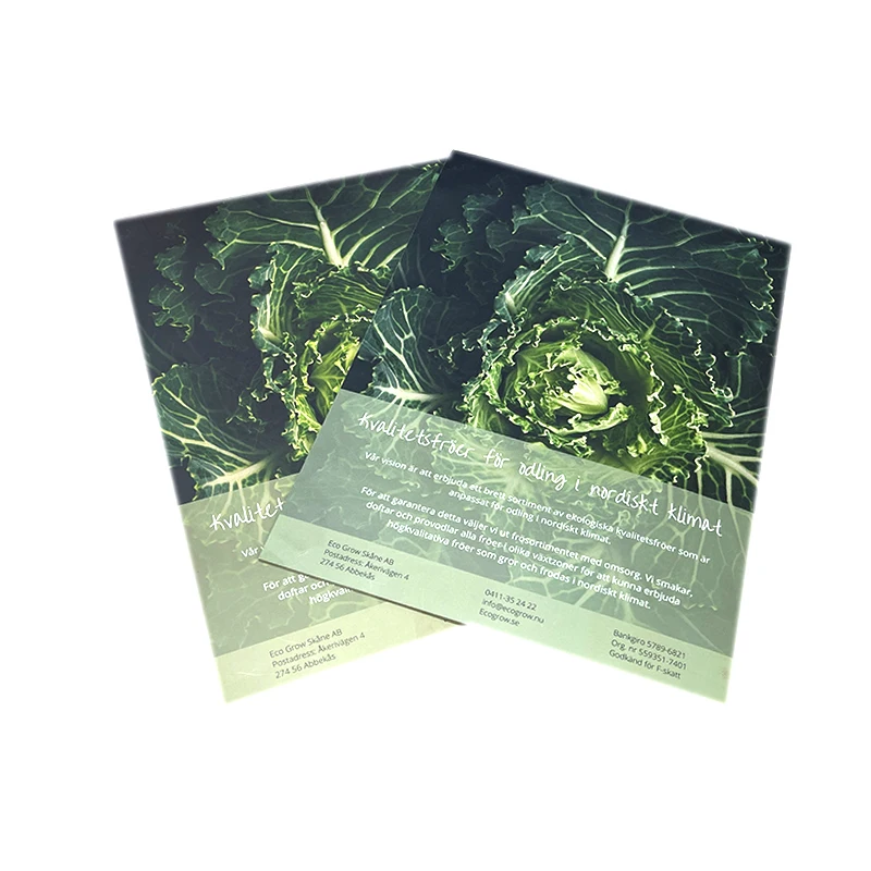 Hot Sale Custom Full Colored Printing Book Offset Printing Softcover Book Saddle Stitch Booklet