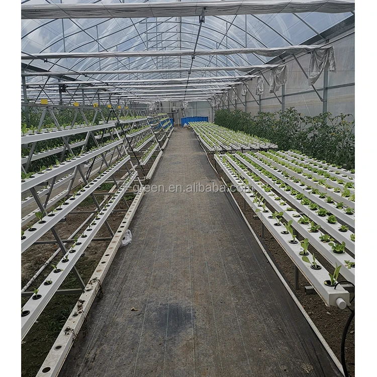 IGREEN Vertical Farming Hydroponic Tower Green Modular House Film Large Multi-span Plastic Greenhouse for Plants Single Layer