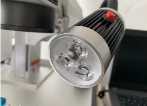 paste-pic-dp_uuid_b9107