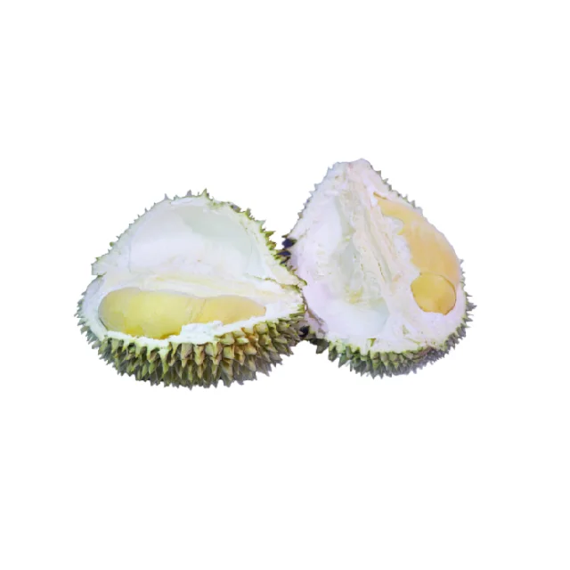 Top Supplier Malaysia Wholesales Frozen Durian Fruit D24 XO AA with Shell from Malaysia HALAL Certified
