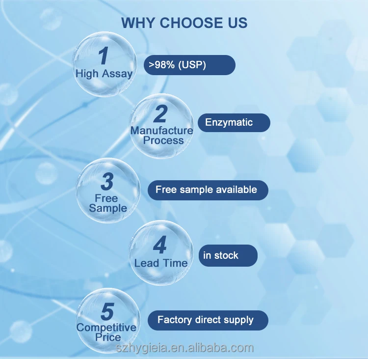 Food Grade with Top Quality and High Purity CAS 28319-77-9 Purity 90% 50% Alpha GPC