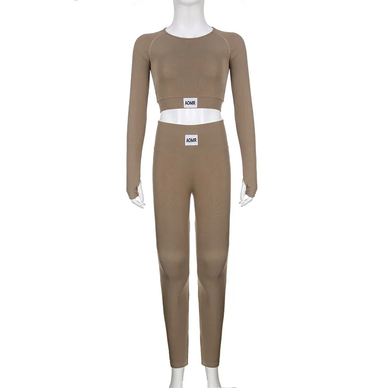 PASUXI Wholesale Women Sports Gym Wear Workout Set Tights And Crop Top 2 Pieces Seamless Long Sleeve Fitness Yoga Set