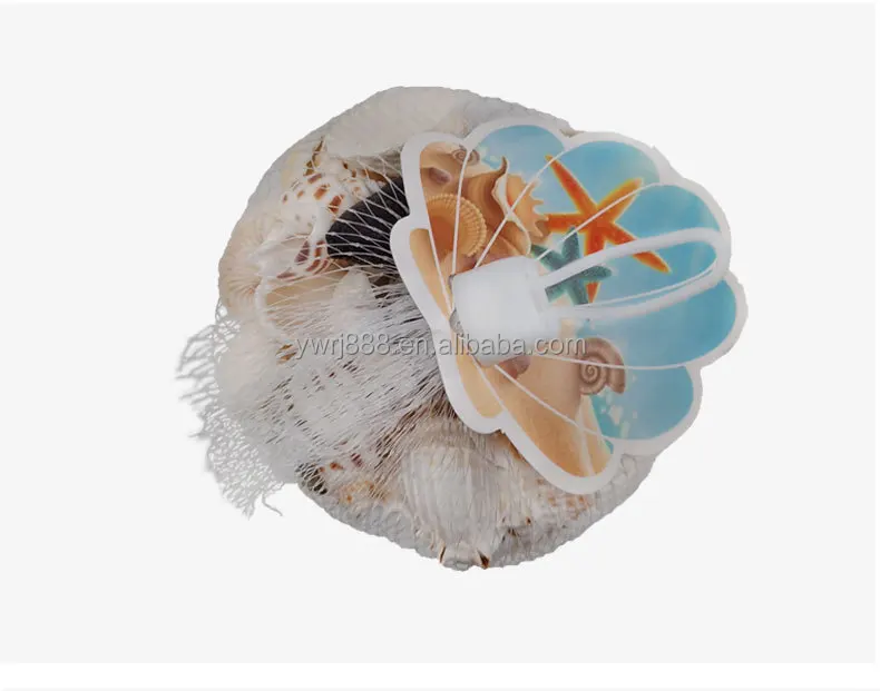 Wholesale fish landscape beach conch shell decoration stone snail craft decoration coral landscape aquarium landscape