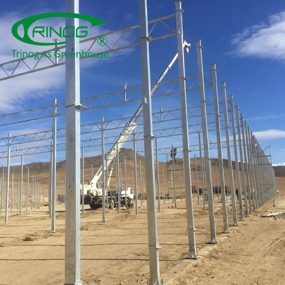 Glass tomato hydroponic greenhouses farming equipment