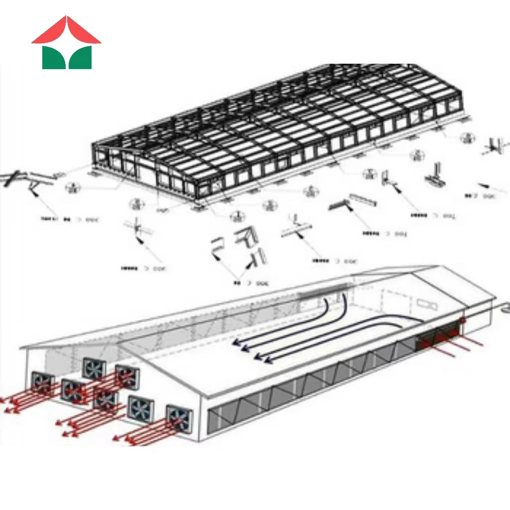 poultry house for 10000 chickens