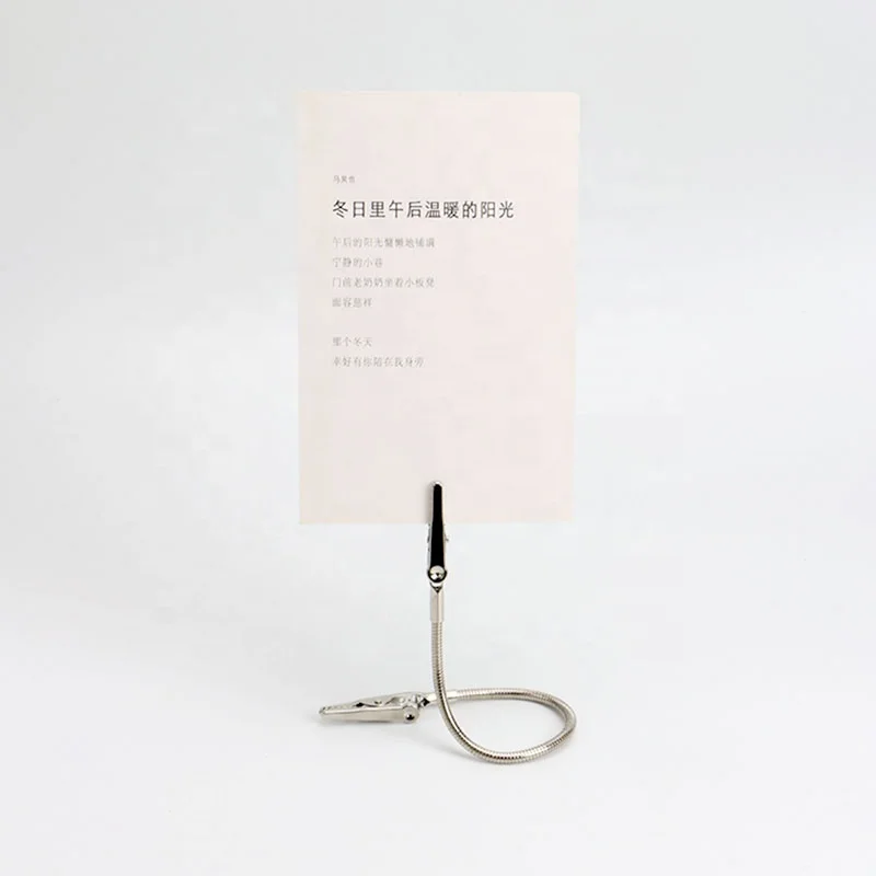 YS1229C, Новое поступление, двухсторонний Аллигатор, Длиннохвостый металлический гибкий фотодисплей, изображения, держатель для карт, бумажный зажим для заметок