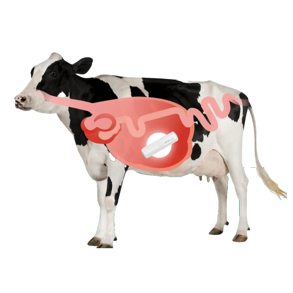 lora capsule lora based smart rumen bolus for cattle built-in lora sensor to monitor body temp PH value and health status