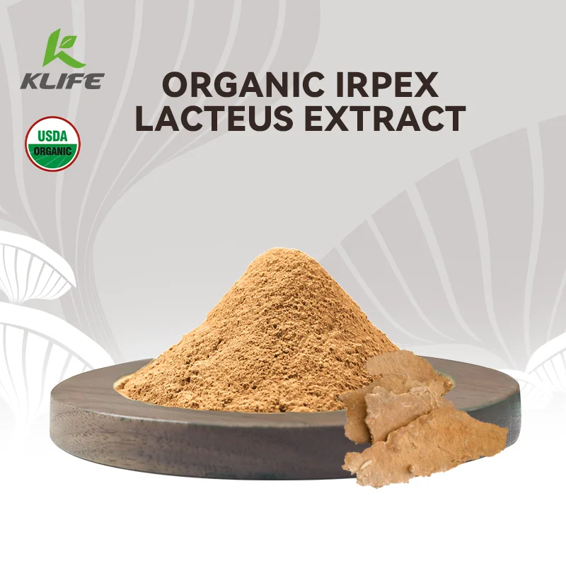 Free Sample Irpex Lacteus Extract Powder Polysaccharide Pure Natural Herbal Supplement