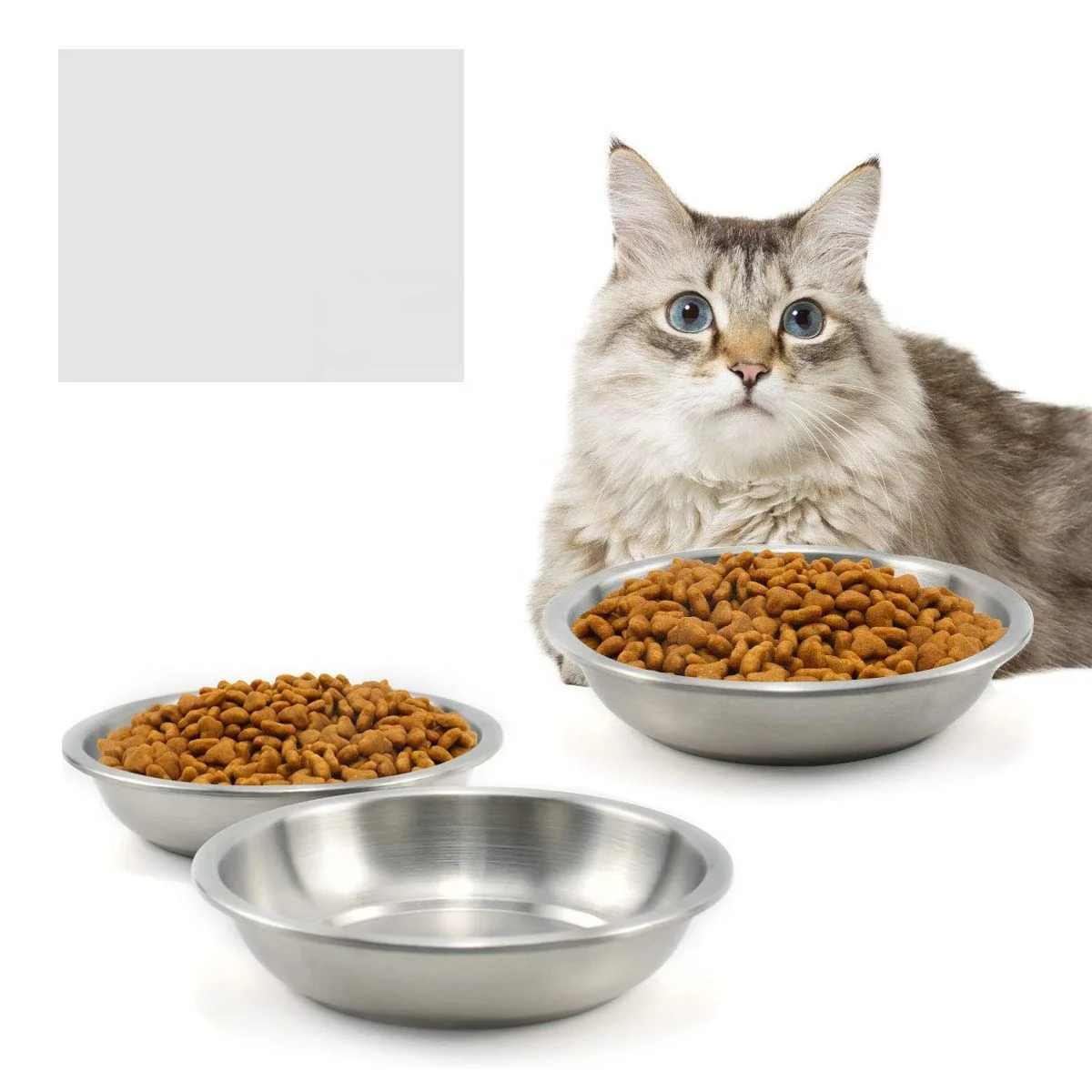 FUTONG Metal Dog Bowl Wholesale Pet Food Water Bowl Stainless Steel Metal Dog Cat Bowl