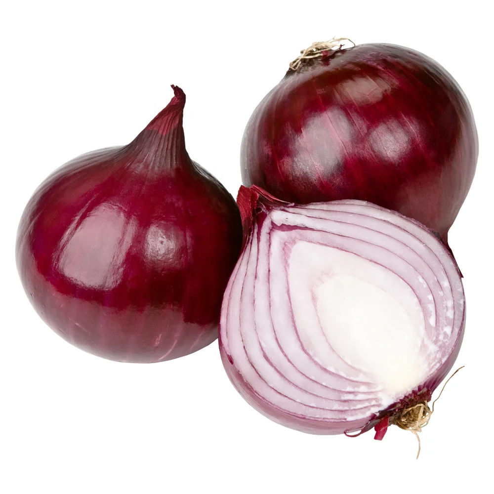 onion not onion seeds and onion red with best price for export
