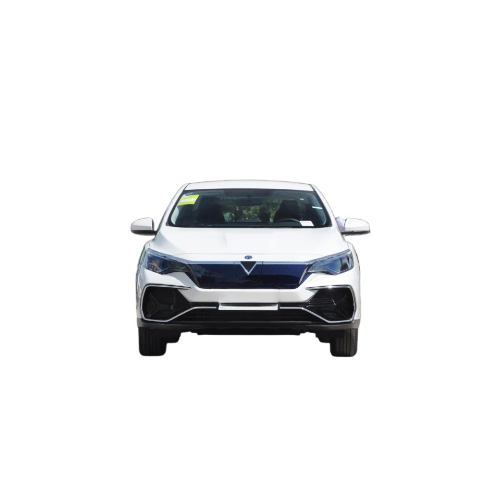 2024 Dongfeng Nissan Venucia D60 EV Range 420km 450km Electric Car dongfeng cheap cars