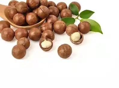 Орехи макадамии лучшего качества и вкусные без скорлупы в 2021 г.