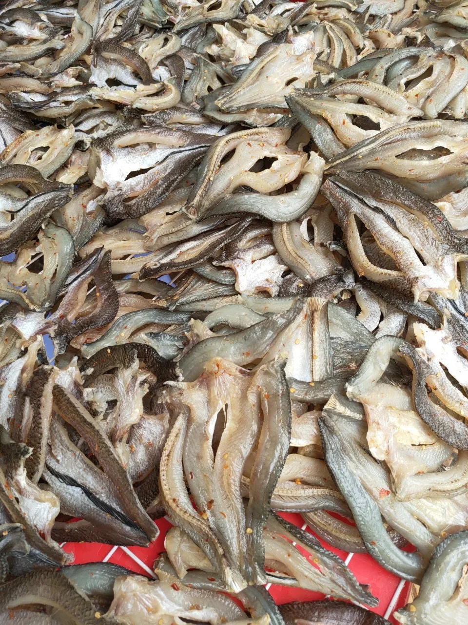 Dried Snakehead Fish - Viet Nam Dried Snakehead Fish Tasty Snack Seafood Best Price Snack Seafood for Wholesale