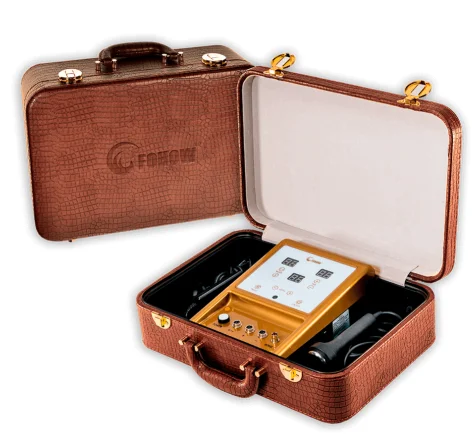 Customized Designed  FOHOW  Dds Massage Therapy Acid-base Flat Dds Bio Electrotherapy Massage Machine