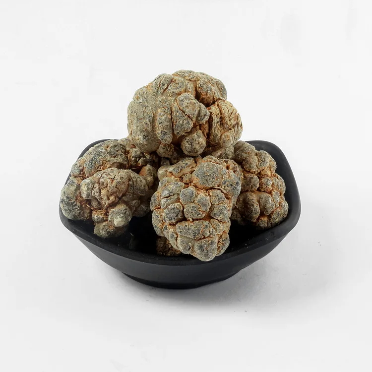 San Qi High Quality Wholesale Natural Wild Dried Sanchi Notoginseng