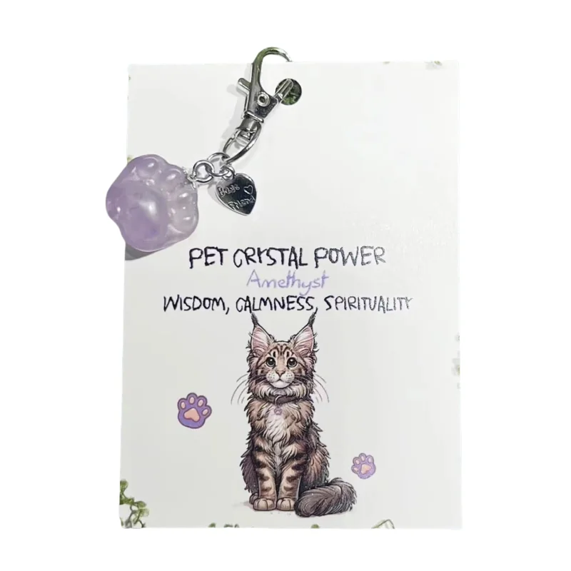 Pet Natural Crystal Stone dog energy talisman jewelry Healing Card Reiki Gem Lucky Pet Ornaments fishbone cat collar pendant paw