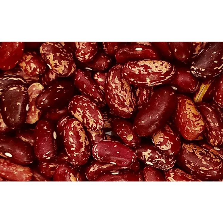 
Export Uzbekistan Natural Red Speckled Kidney Beans 