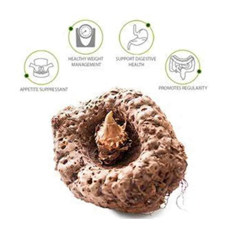 Low-Carb Food Grade Glucomannan Konjac Root Extract Powder Bulk Organic Konjac Flour Powder
