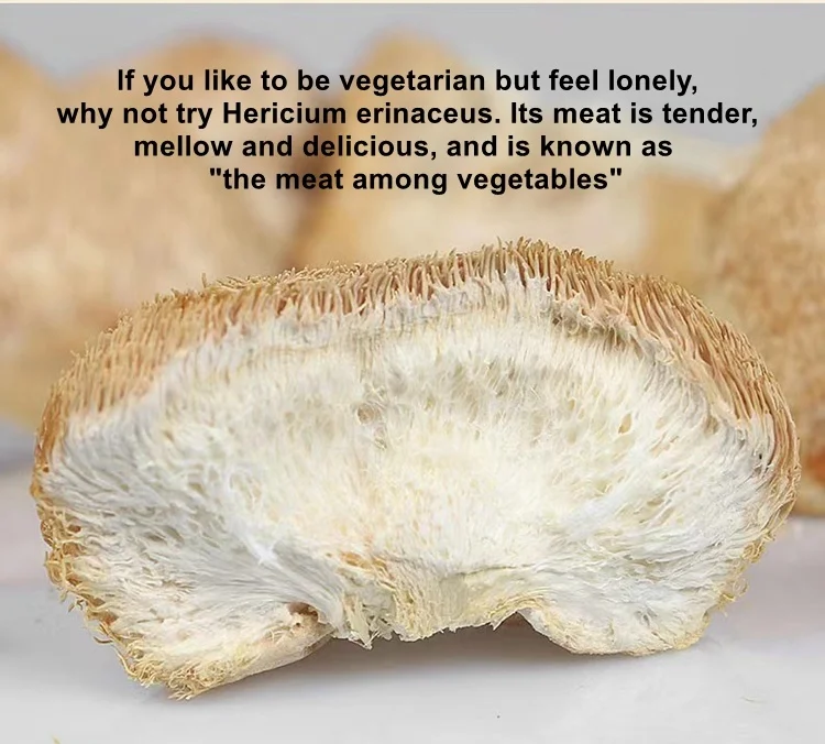 hou tou gu beard mushroom organic monkey head mushroom Hericium Erinaceus dried whole lion mane mushroom