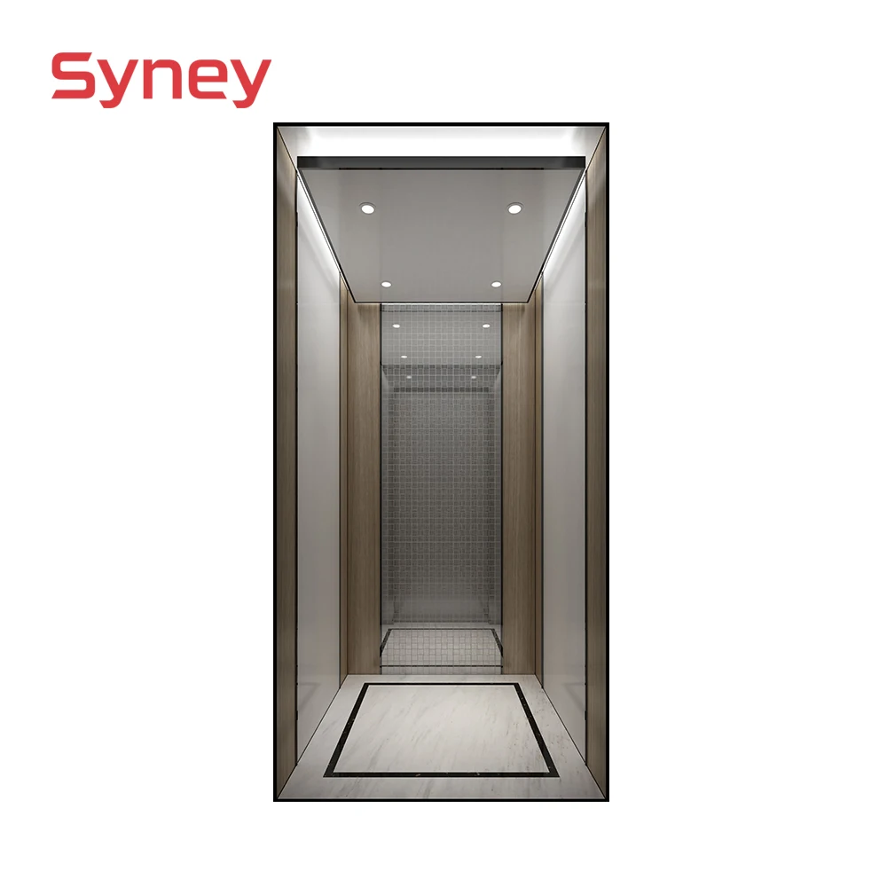 Syney Superior Quality Stable Performance 4~5 Persons Home Villa Elevator