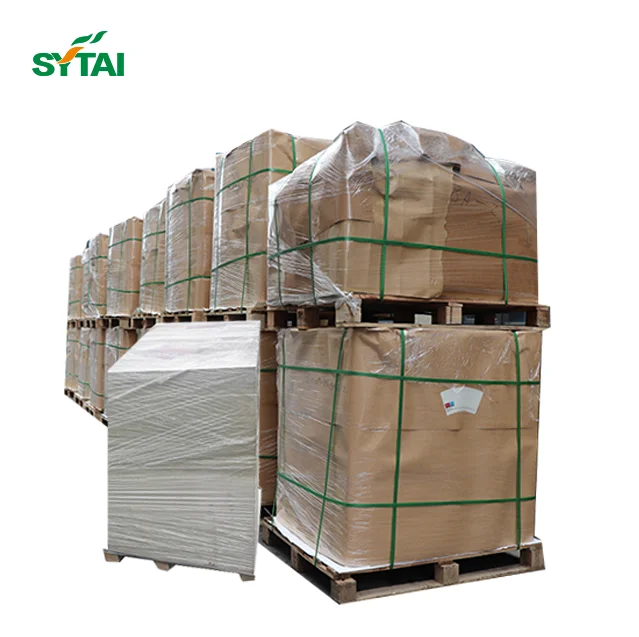 Food Grade Single Wall Double Wall PE Coated Paper Raw Material Paper Cup Roll