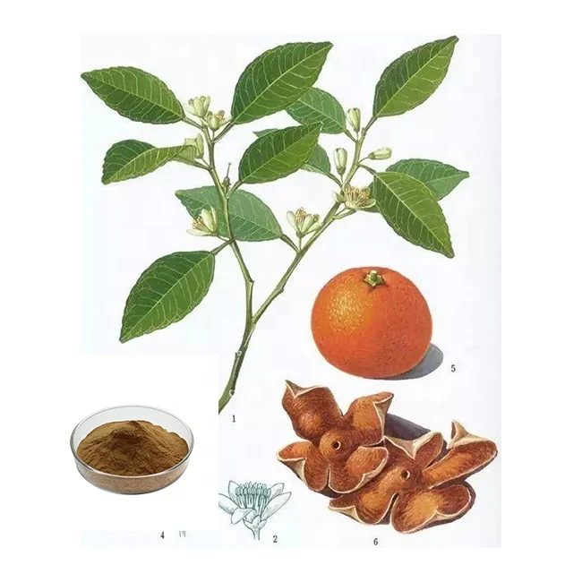 Экстракт кожуры апельсина мандарина