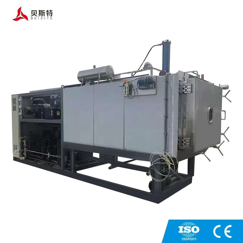 Vacuum Microwave Sterilizing Dryer Machine Microwave Vacuum Freeze Dryer Dehydrator