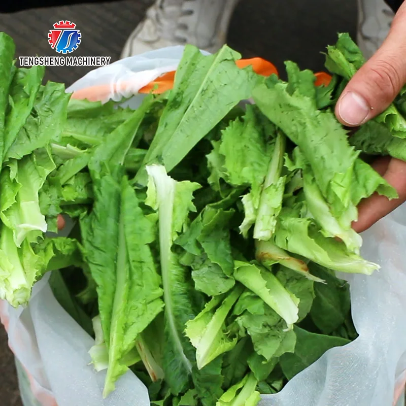 Soybean dregs fruit and vegetables deoiling machine stainless steel separation industrial dehydrator vegetable dryer source manu