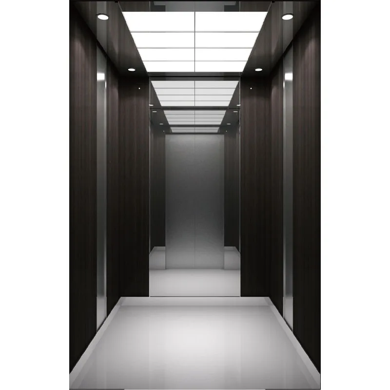 China Manufactory Hot Sale Passenger Elevator with Good Safety