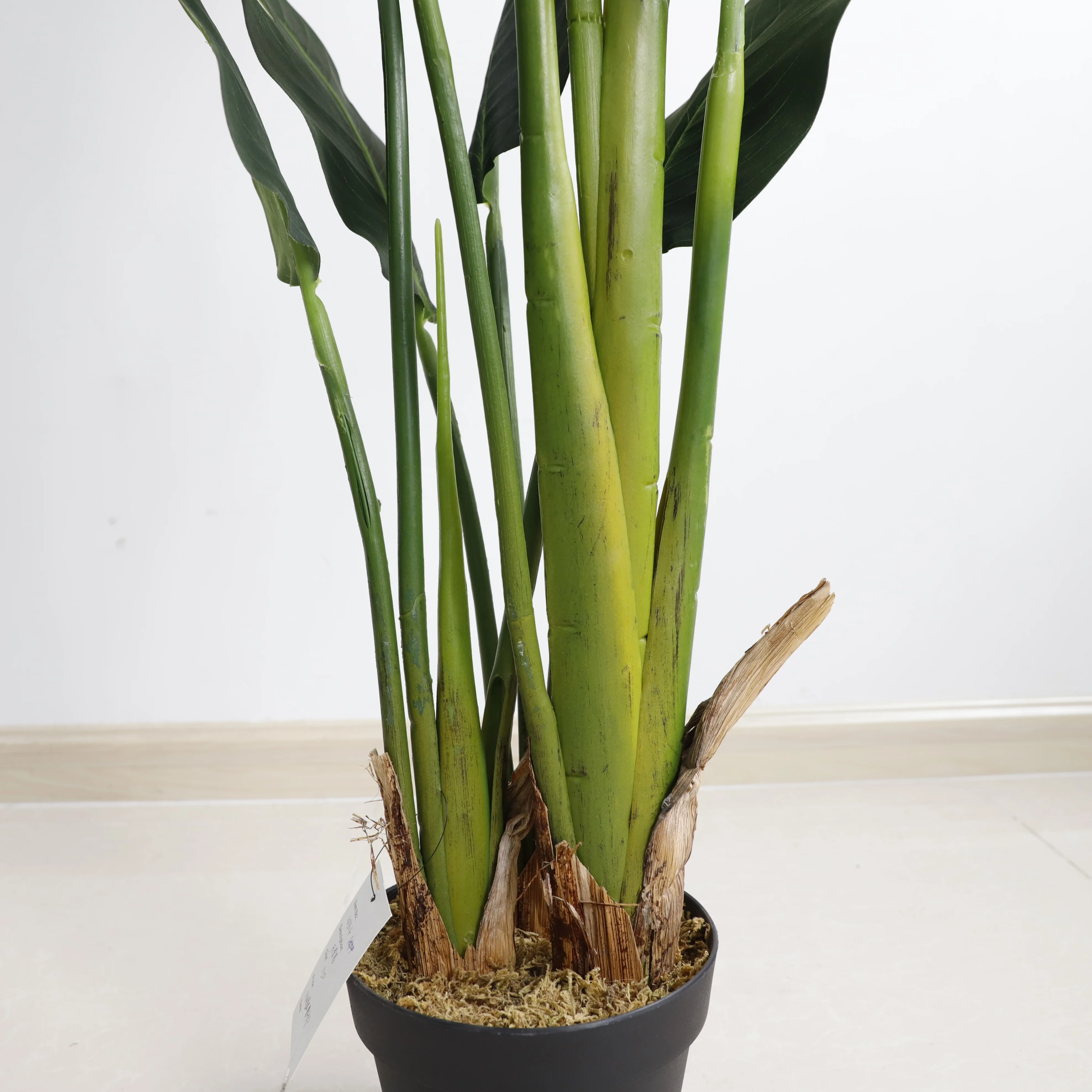 Artificial Traveller Banana Tree Heliconia Librata Griggs Fan Leaves Carton Modern Decorative Flowers & Wreaths 100 Pcs CN;GUA
