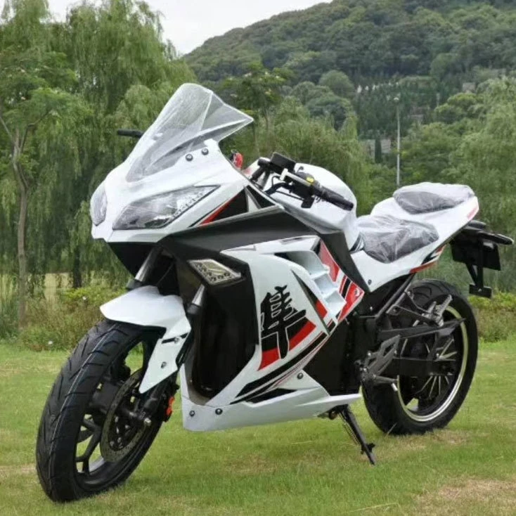 Motor Minimoto 125 Cc Electric Per Manufacturer