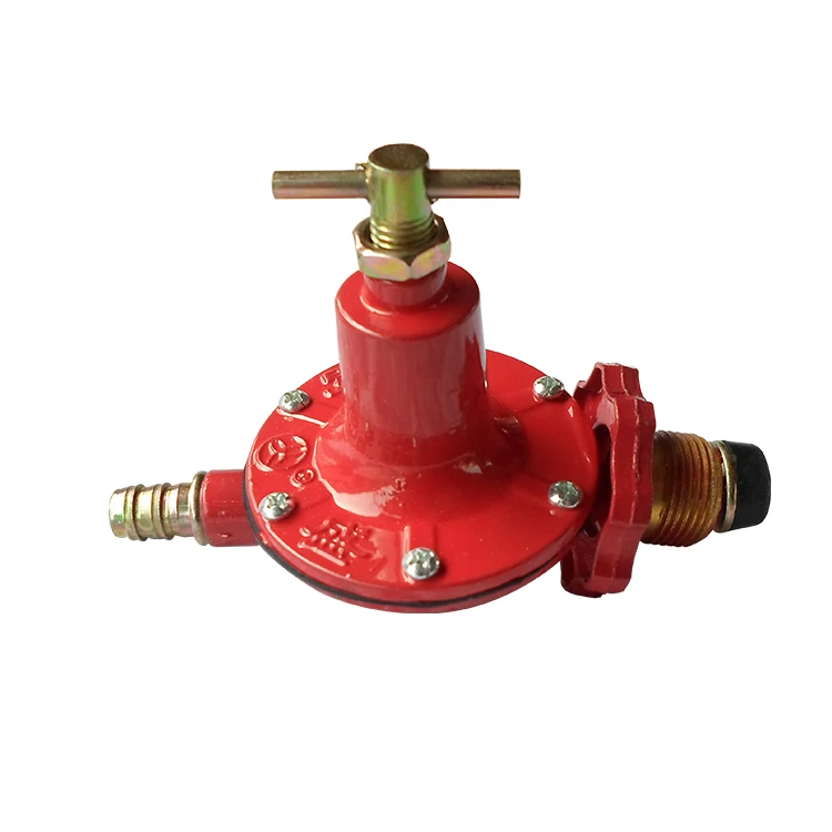 
Low pressure gas regulator 
