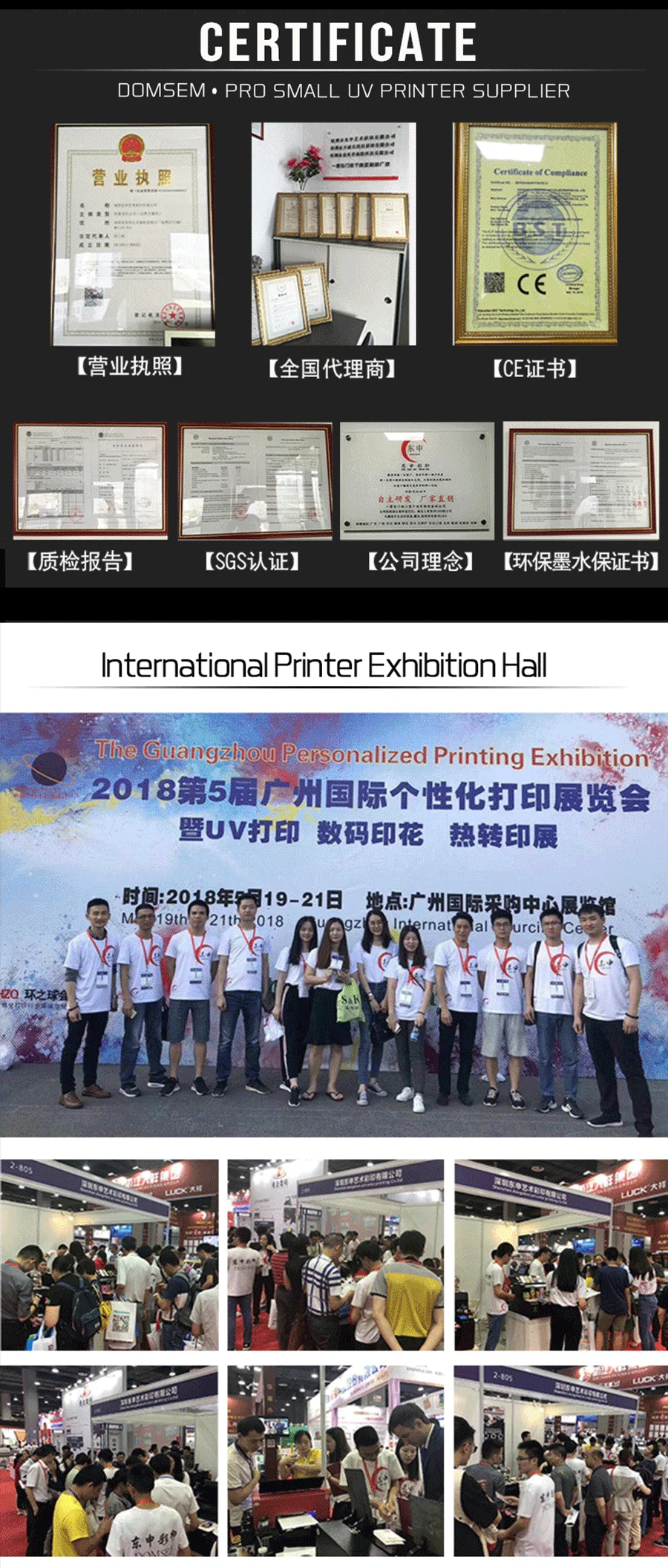 DOMSEM UV Printer02.png