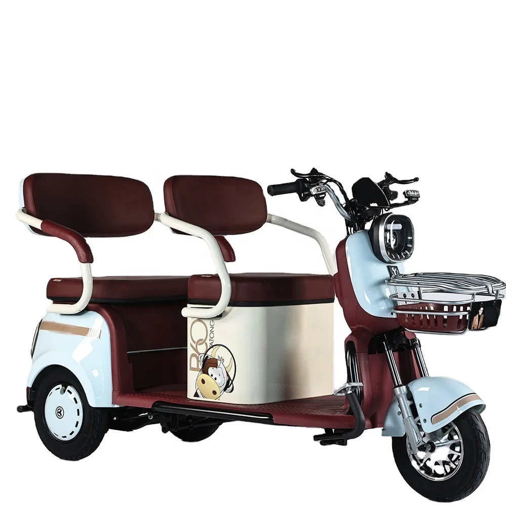650W Electric Tricycle Bike Cheap Electric Tricycle For Adults electric bike with3 wheels for person.