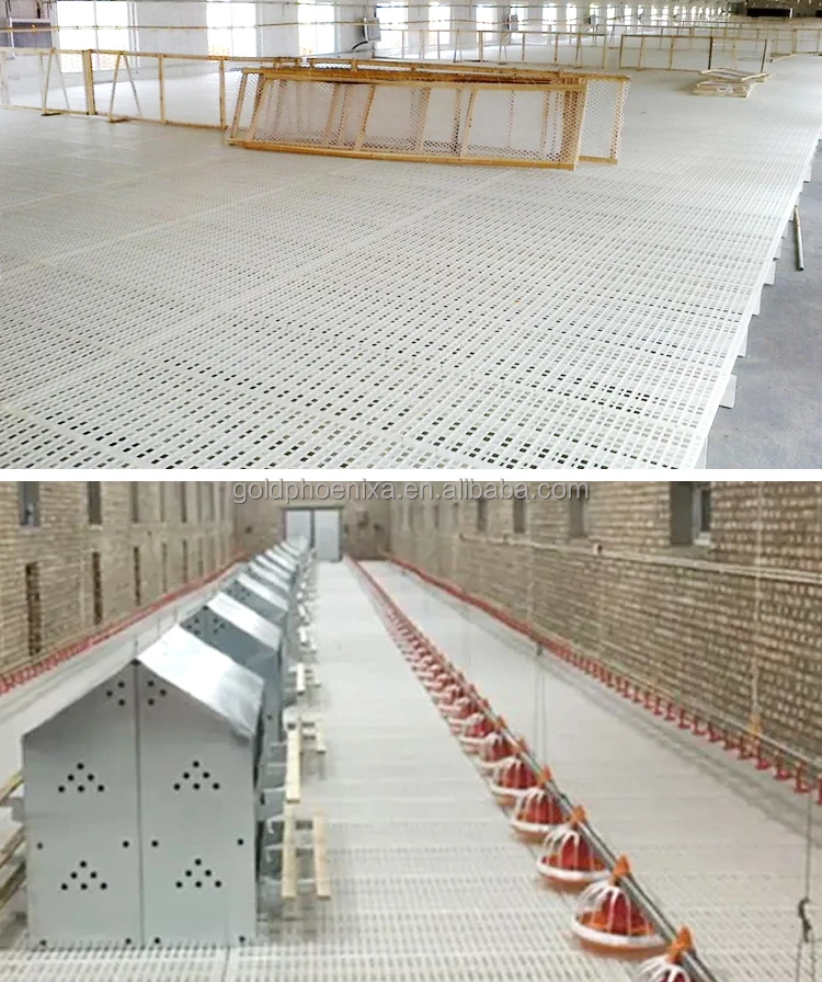 yyc Poultry farm chicken Plastic Flooring For Breeder Chicken Farming Dung Board Poultry Slat Floor