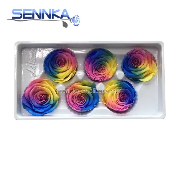 2019 best price China supplier preserved rainbow roses wholesale eternity roses for Christmas