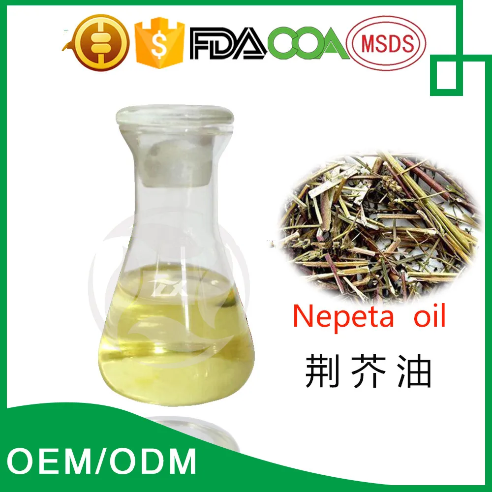 Nepeta Oil Pure Natural Plant Extract Essential Oils Pharmaceutical Raw Material Catnip Essential Oil