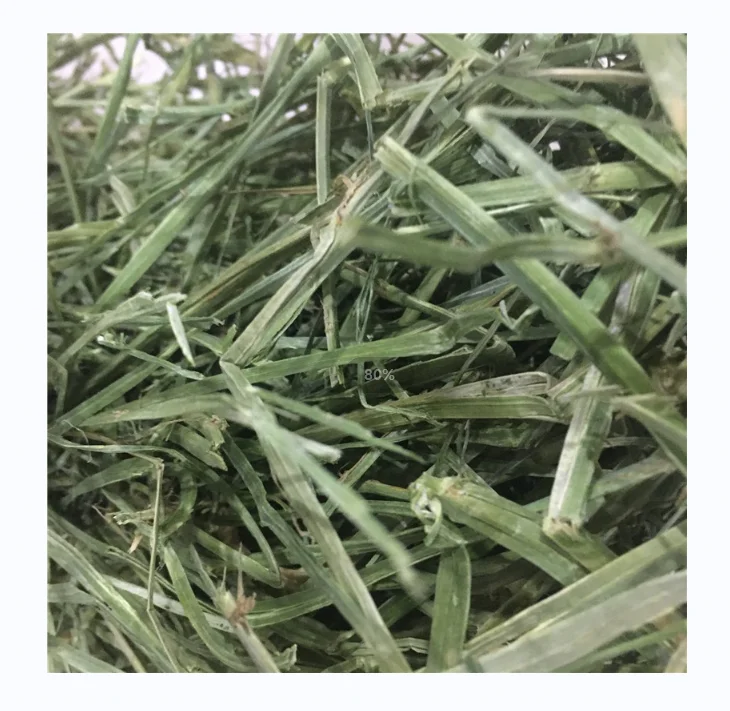American hay Good alfalfa for Animal Feed Cattle Horse Chicken Pets