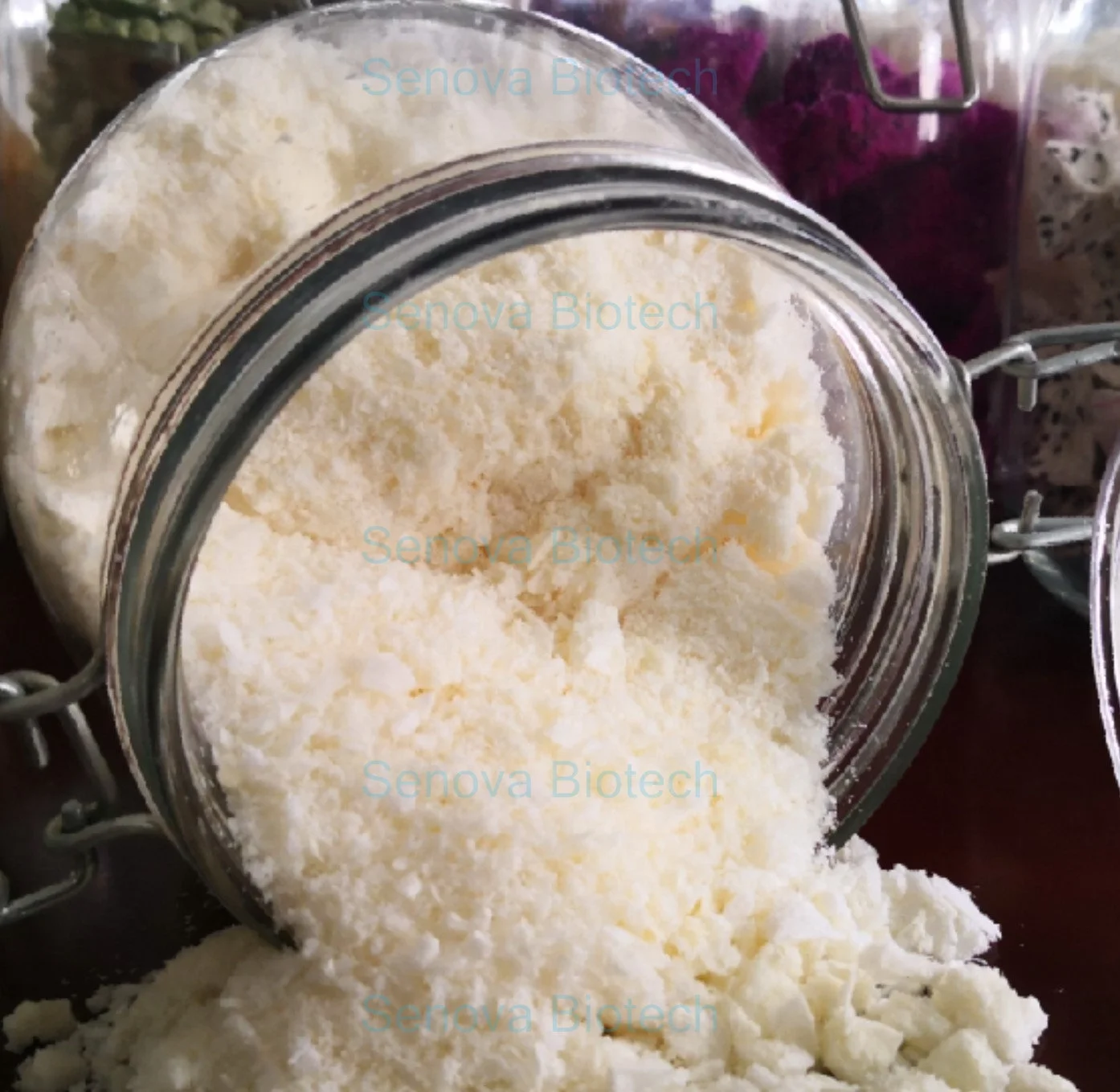 1Kg 2Kg Fruit Vegetable Dessert Dairy Small Mini Food Vacuum Freeze Dryer