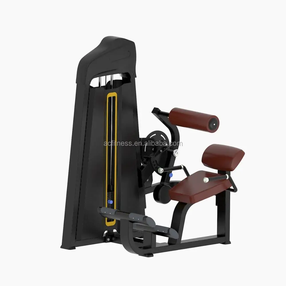 Lower back Body Building Total Abdominal Crunch Gym Fitness Machine
