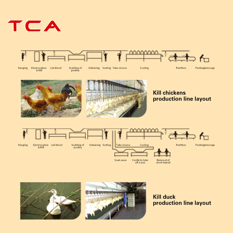 AICN high quality automatic broiler duck slaughter equipment chicken house bird machine line